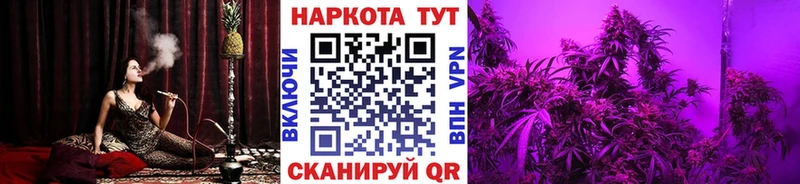 Где купить Аргун КОКАИН Канабис МЕГА рабочий сайт ГАШИШ МЕФ