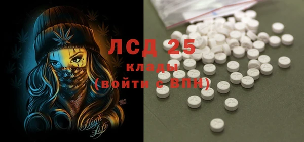 стаф Кодинск