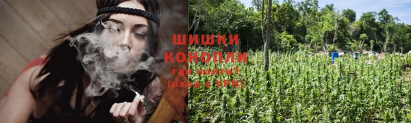 индика Карталы