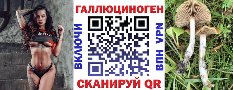 Галлюциногенные грибы Psilocybe  хочу наркоту  Аргун 